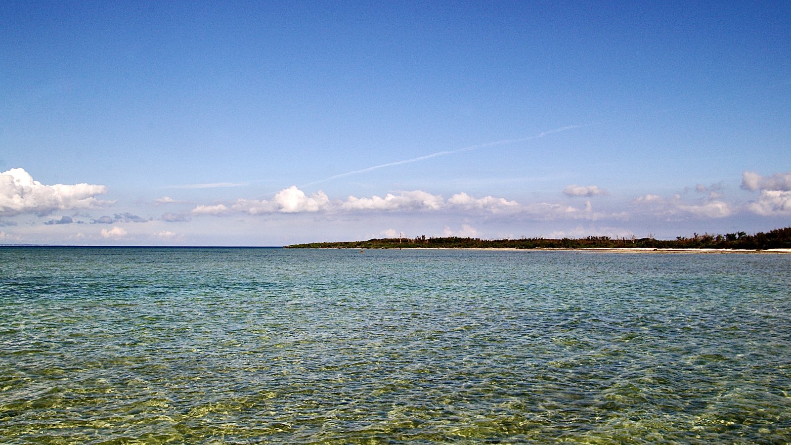 どこまでも遠浅に広がる黒島の海