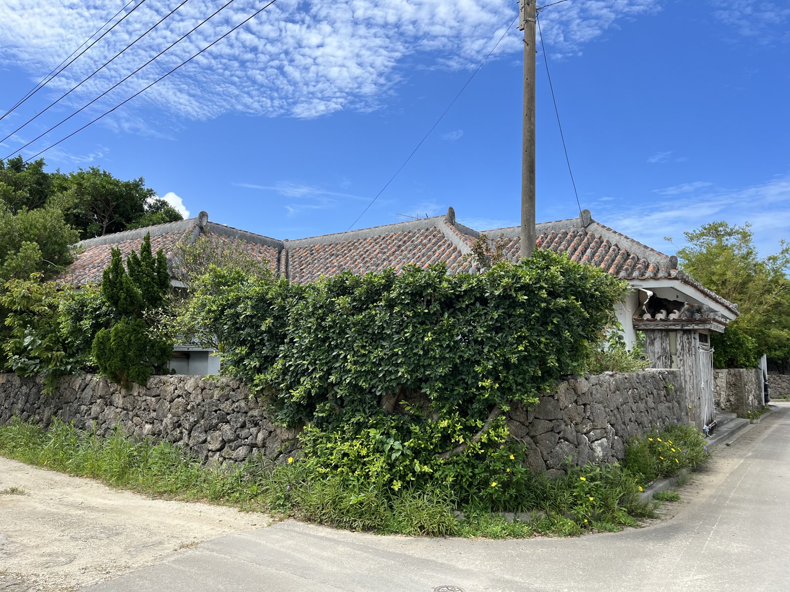 赤瓦の屋根と石垣(グック)が続く黒島の集落